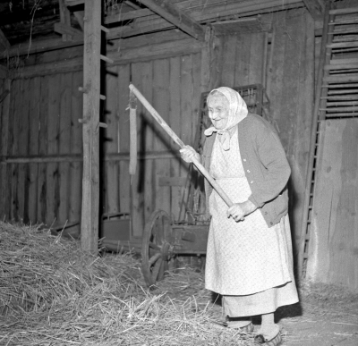 Selma Fransson tröskning med slaga

Dok.110524/KG