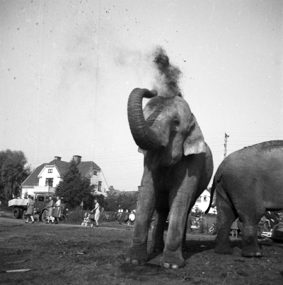 Cirkus i stan 

Dok.110523/KG