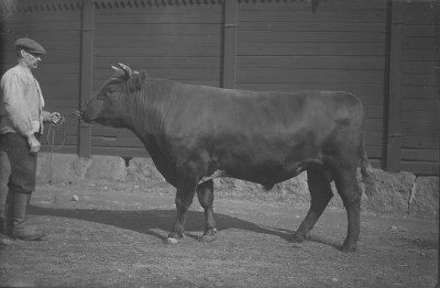 Grägarp

Dok.090311/SJ