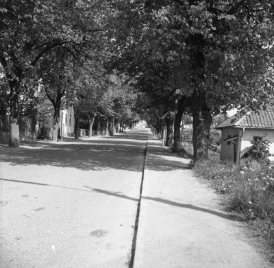 Stångågatan

Dok.110404/KG