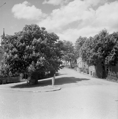 - Kampbacken sedd från Storgatan (1945) Kastanjen planterades på 1900-talet i gropen efter reservbrunnen av Förvaltare Hagman Gustav Hultin m.fl.   T.E.

Dok.110414/KG