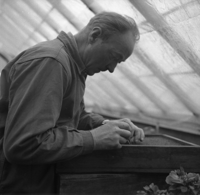 Hällebacka handelsträdgård
Nils Johansson 
Trädgårdsmästare

Dok.110620/KG