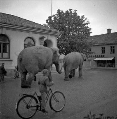 Vimmerby
- elefanter på Drottninggatan -

Dok.110407/KG 