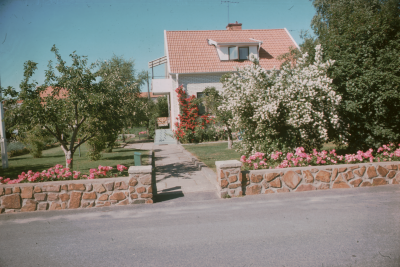 Villa trädgård

090416/KG