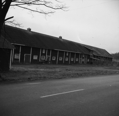 Näsområdet

Dok.110209/KG