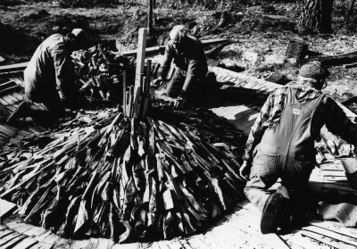 Tjärbränning vid Vagelhem Gullringen
september 1983