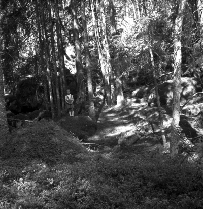 Norra Kvills nationalpark
Rumskulla

Dok.110211/KG