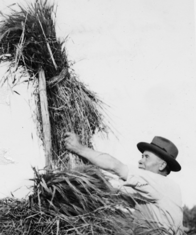 Riksdagsman Emil Gustavsson, Kampen Vimmerby. 