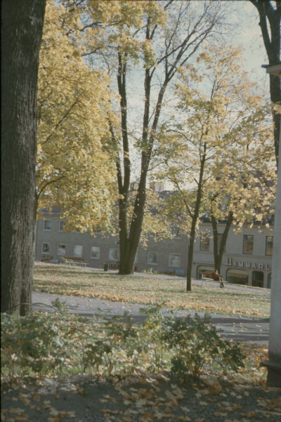 Kyrkparken i höstfärger

090421/KG