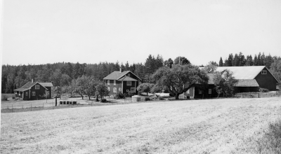 Lövskogen 1975