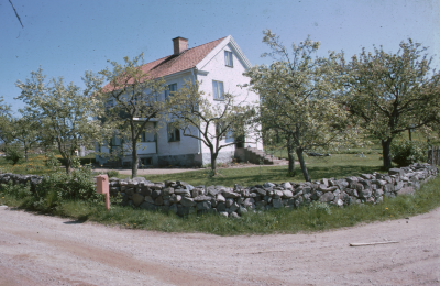Hus blommande fruktträd 

090525/KG