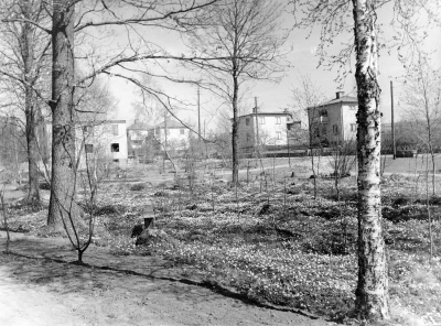 Kungsparken. 