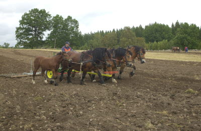 
Bilden visades på stadsmuseets utställning med Janne Strömstens foton hösten 2024