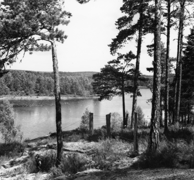 Landskap vy över sjö

Dok.100527/KG