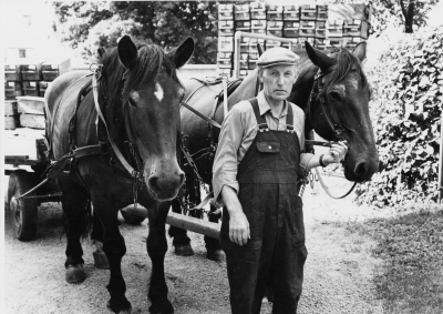 Hilmer Claesson, med sista hästdragna lasten till Spritbolaget.        (Hilmer Classon) verksam till oktober 1969
