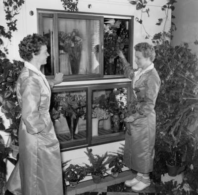 Lindeborgs Blomsteraffär

Dok.100603/KG