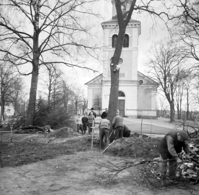 Trädansning vid Vimmerby kyrka