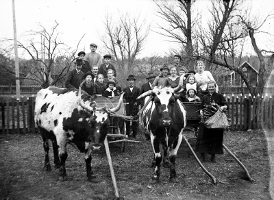 Grägarp

Dok.090311/SJ