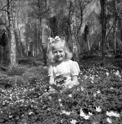 Nils Jonssons familj

Dok.110620/KG