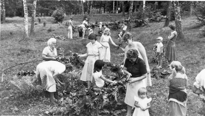 Girlang och kransar till midsommarstången bindes i Sjöhagen Södra Vi