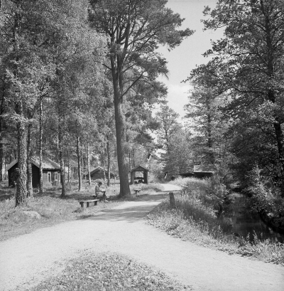 Halldén, Bokhandlare, familjebilder