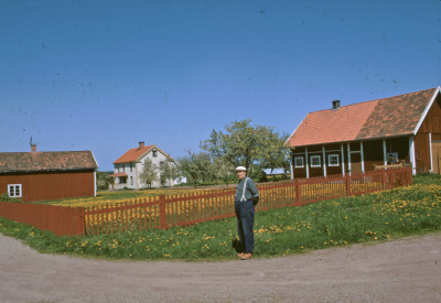 Man hus maskrosor

090525/KG
