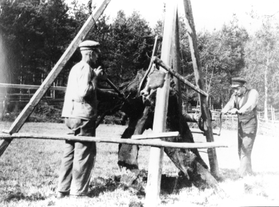 Fr v. 1 Johan Johansson som var ägare till Gissehult född 1873 2 Axel Bottner, son till J.J.   Stubbrytning på mossen i Gissehult Storebro 1932     T.E.