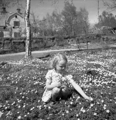 Gästgivarehagen ?

Dok.110523/KG