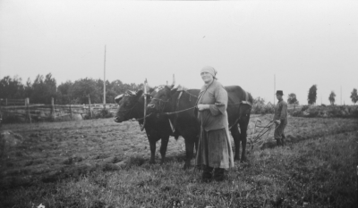 Ester och Adrian Kritiansson, Rumskulla