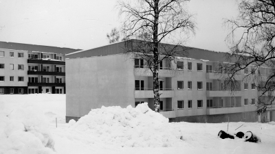 Näsområdet