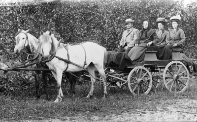Winslöf

Wälkomna till oss om söndag om möjligt alla tre, här är vackert i skogen nu skulle ni tycka ni inte vill besvära med skjuts så har ju åtminstone du egen. hällsningar Thillgren