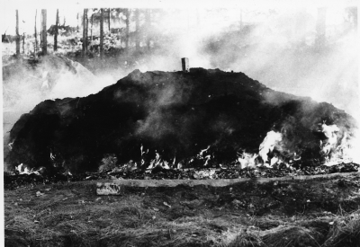 Tjärbränning vid Vagelhem Gullringen
september 1983