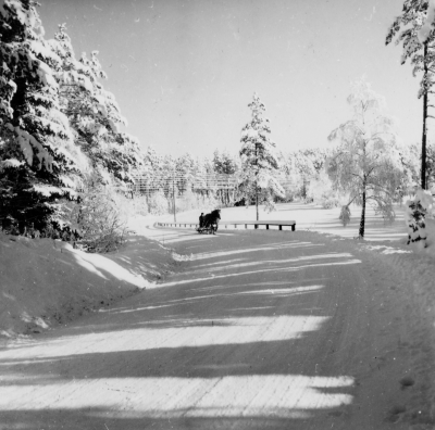 Sjön Juttern till höger. 
