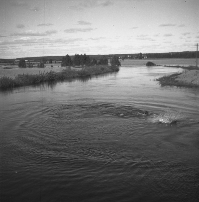 Stångån
- översvämning -

Dok.110412/KG