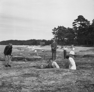 Öland 

Dok.110412/KG
