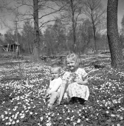 Gästgivarehagen ?

Dok.110524/KG