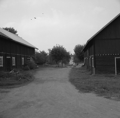 Djursdala

Dok.110524/KG