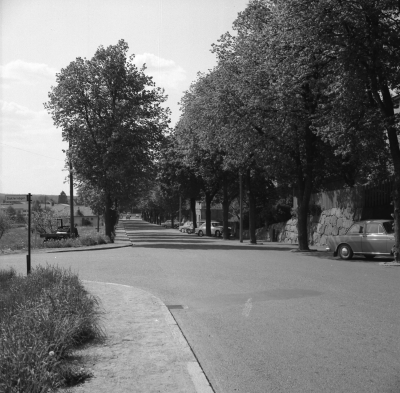 Stångågatan

Dok.110404/KG