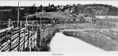 Gamla vägen (häradsvägen) från Lilla Vi till kyrkan i Djursdala. Fotografen står på byvägen mot Marstad.
Lundsberget, där märlor för ankring finns.