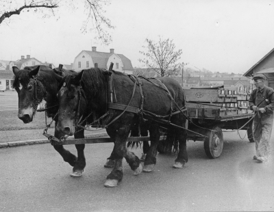 Vimmerby sista häståkare. Helmer Claesson upphörde 1970 taget vid järnvägen.  (Hilmer Classon) verksam till oktober 1969