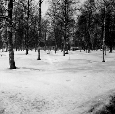 Vinterbild från Gästgivarehagen

Dok.110614/KG