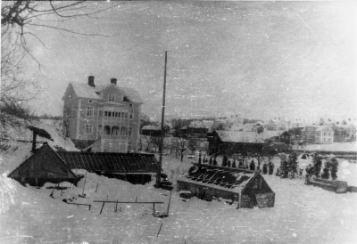 Bohmans handelsträdgård. T.E.