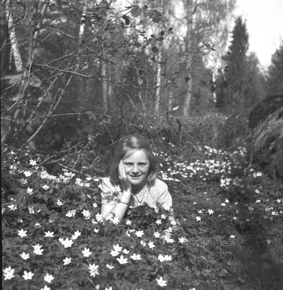 Birgitta Evander