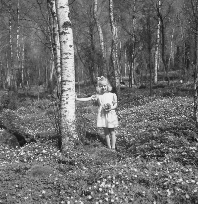 Nils Jonssons familj

Dok.110620/KG