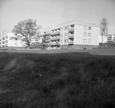 Näsområdet

Dok.110209/KG