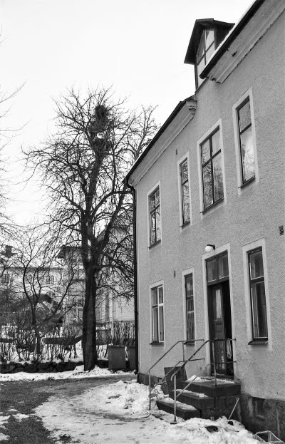 Västra Tullportsgatan