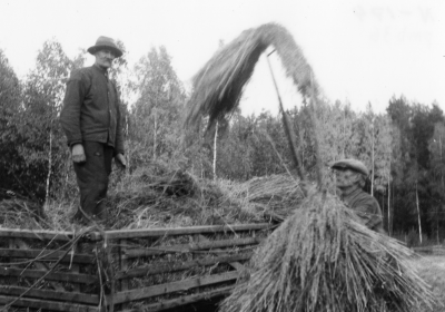 Skörden tas om hand
Esse Ekberg

Dok.100526/KG