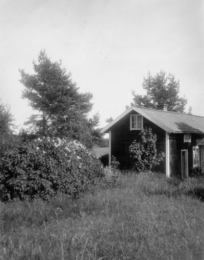 Svartnö

Dok.090630/SJ