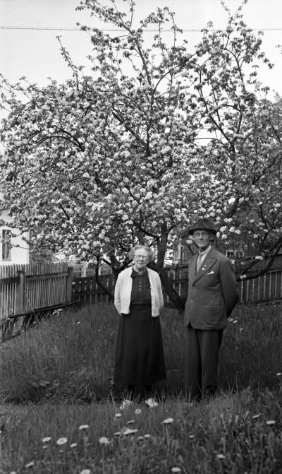 Andstedt



Dok.080407/RS