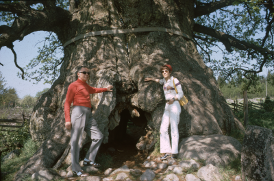 Eken Norra Kvill 

090402/KG